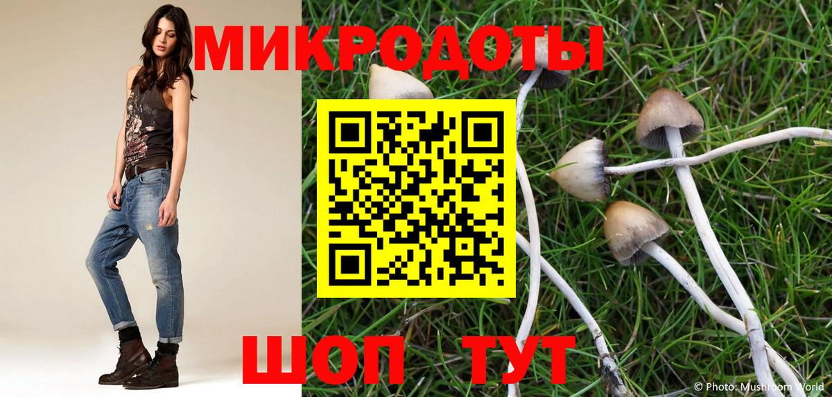 Псилоцибиновые грибы Cubensis  наркошоп  Дербент  Псилоцибиновые грибы Cubensis  Вход с VPN 